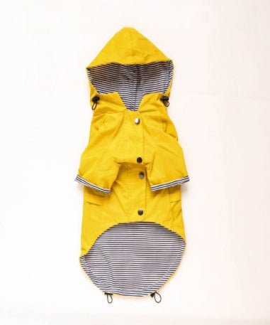 Imperméable pour chien - FearlessRainDog™ - Ma Promenade avec Toutou