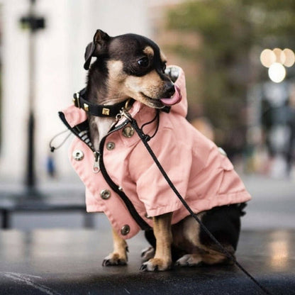 Imperméable pour chien - FearlessRainDog™ - Ma Promenade avec Toutou