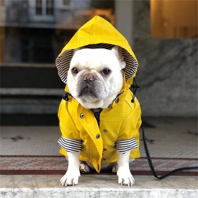 Imperméable pour chien​ - FearlessRainDog™