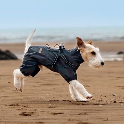 Imperméable pour chien - FullBodyProtect™ - Ma Promenade avec Toutou