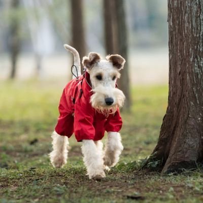 Imperméable pour chien - FullBodyProtect™ - Ma Promenade avec Toutou