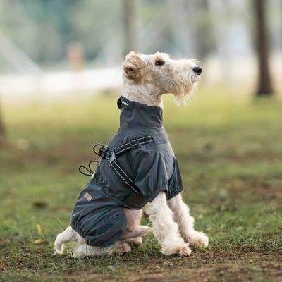 Imperméable pour chien - FullBodyProtect™ - Ma Promenade avec Toutou