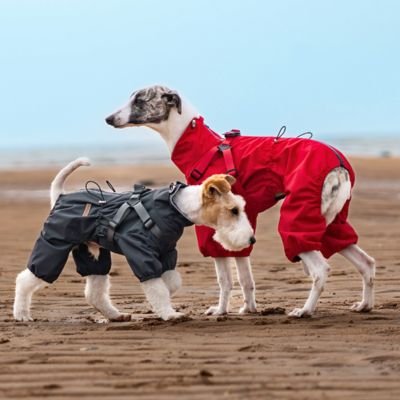 Imperméable pour chien​ - FullBodyProtect™
