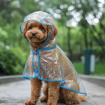 Imperméable pour chien - FullRainProtect™ - Ma Promenade avec Toutou
