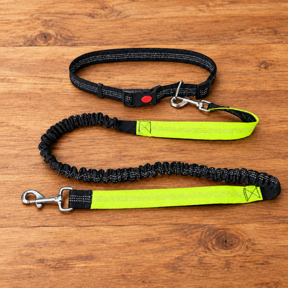 Laisse chien main libre - RunningDog™