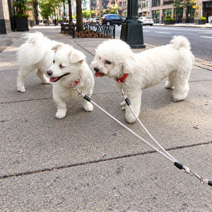 Laisse double pour Chien - DoubleDoggy™