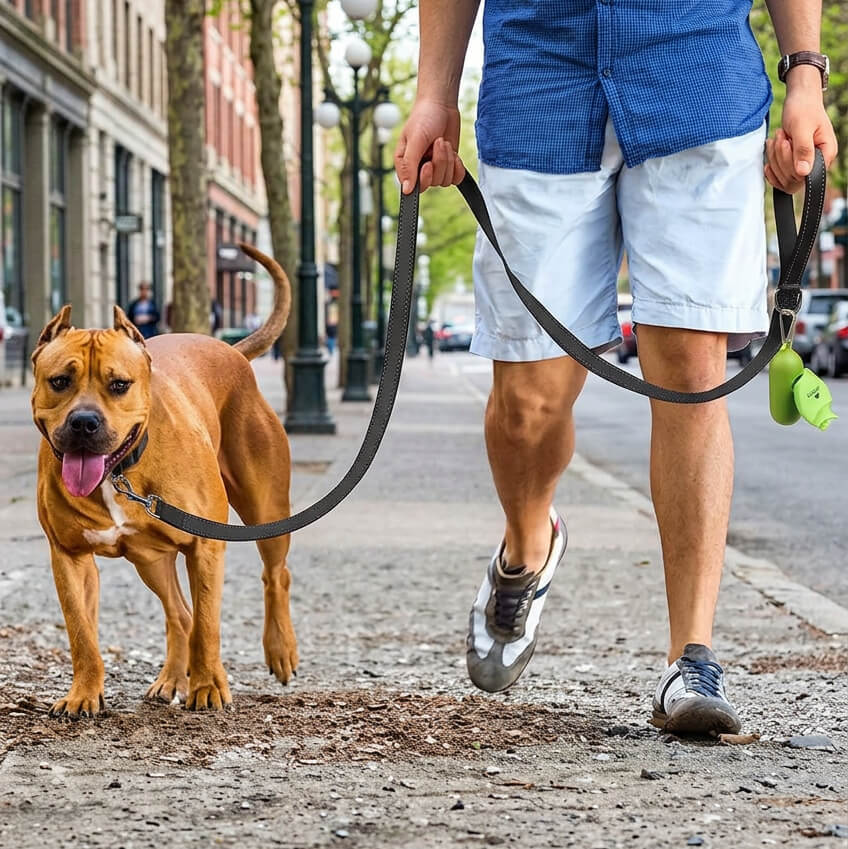 Laisse Chien extérieur - Magnifik-Laisse™ a la ville