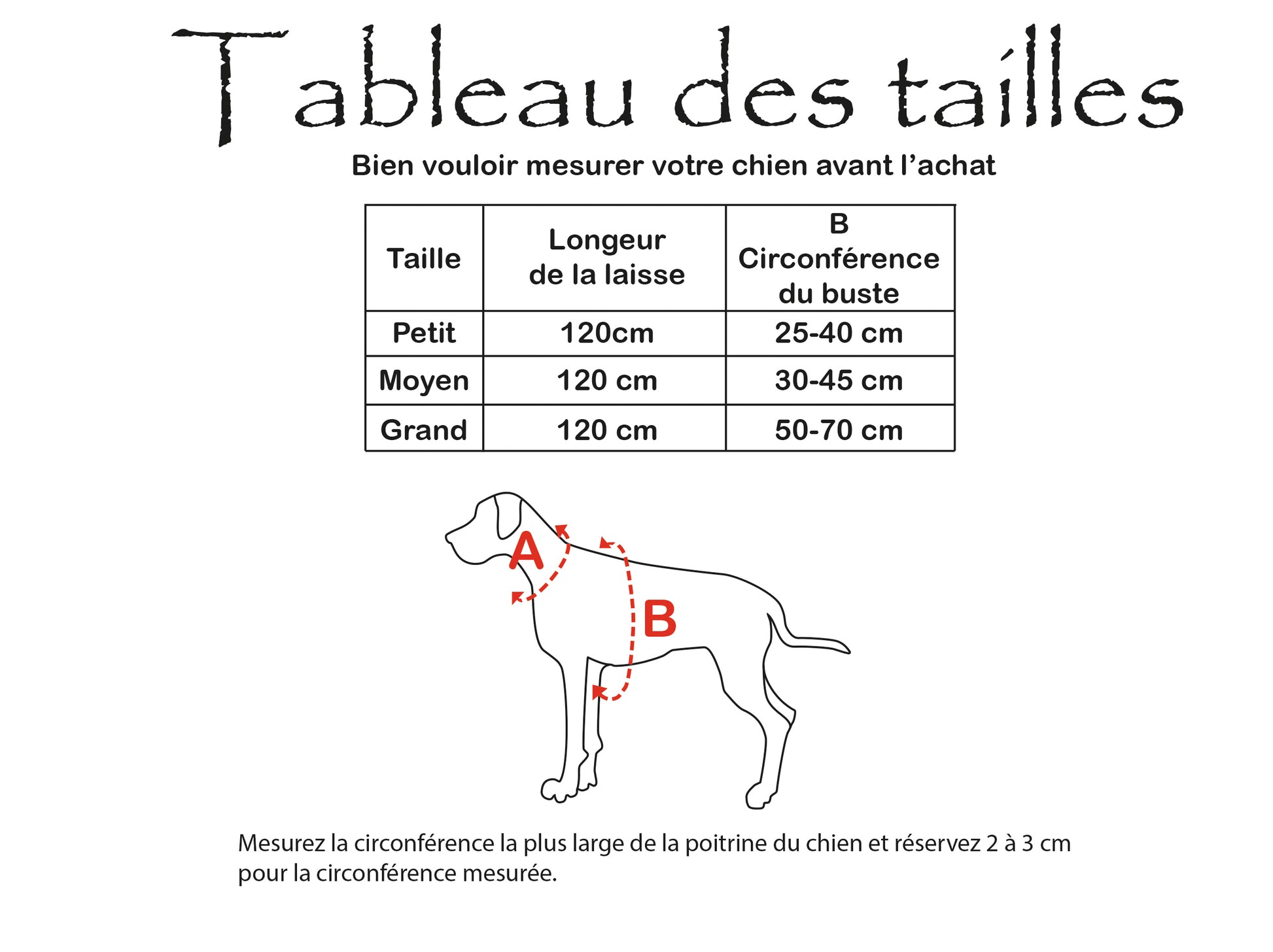 tableau des tailles