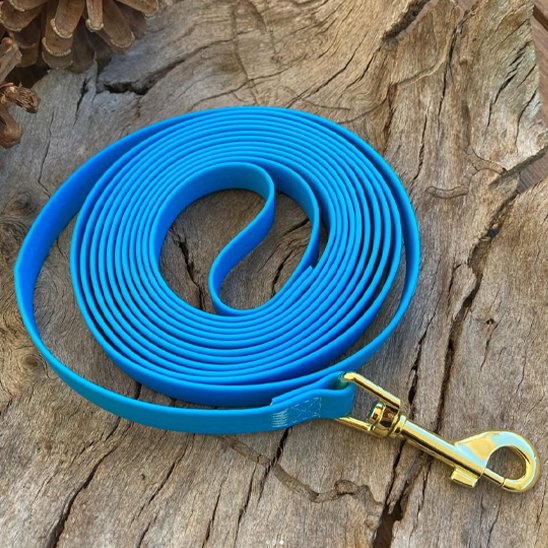 Longe pour chien - HoneyLeash™