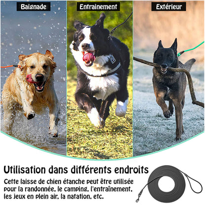 longe pour chien - EasyTrain™ - Noir utilisation multiple