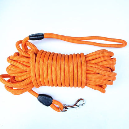 Longe pour chien - Safety-Laisse™