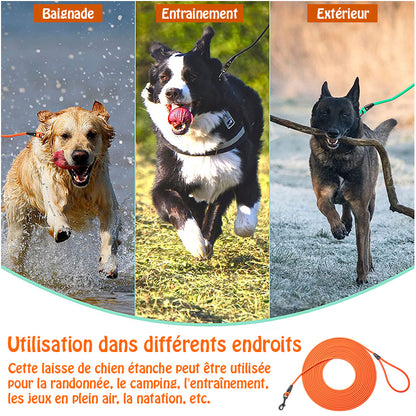 longe pour chien - EasyTrain™ - Orange utilisation multiple