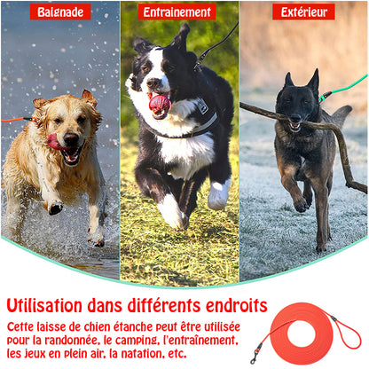 longe pour chien - EasyTrain™ - Rouge utilisation multiple