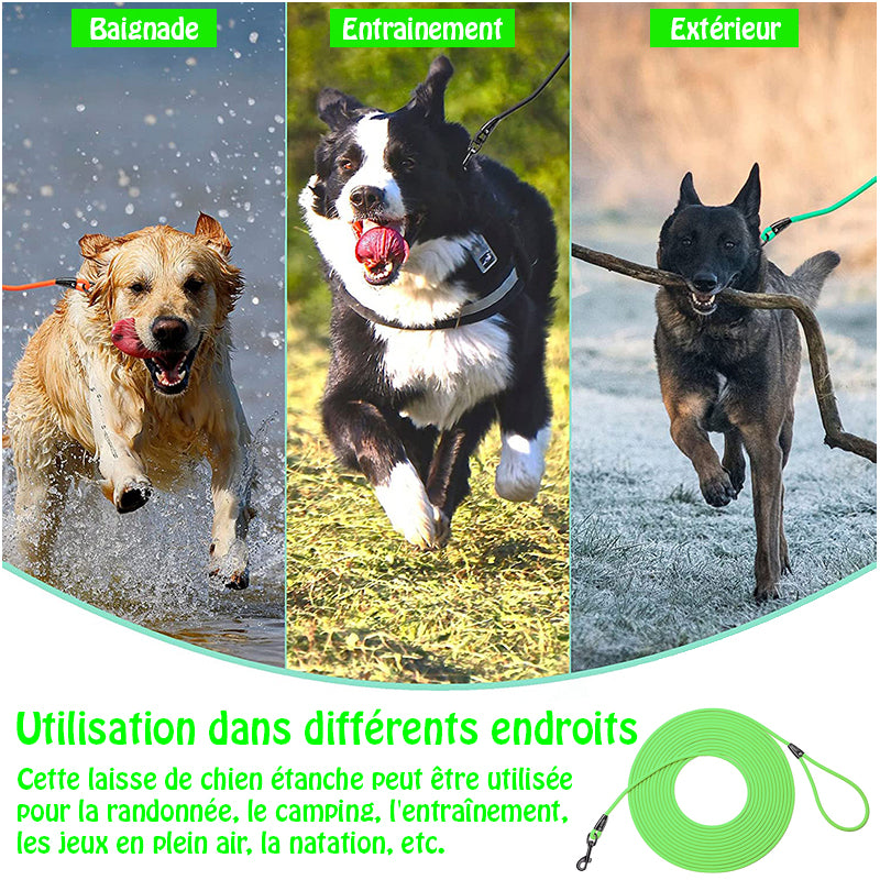 longe pour chien - EasyTrain™ - Vert utilisation multiple