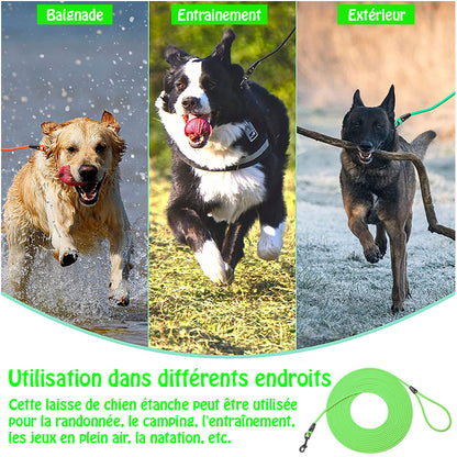 longe pour chien - EasyTrain™ - Vert utilisation multiple