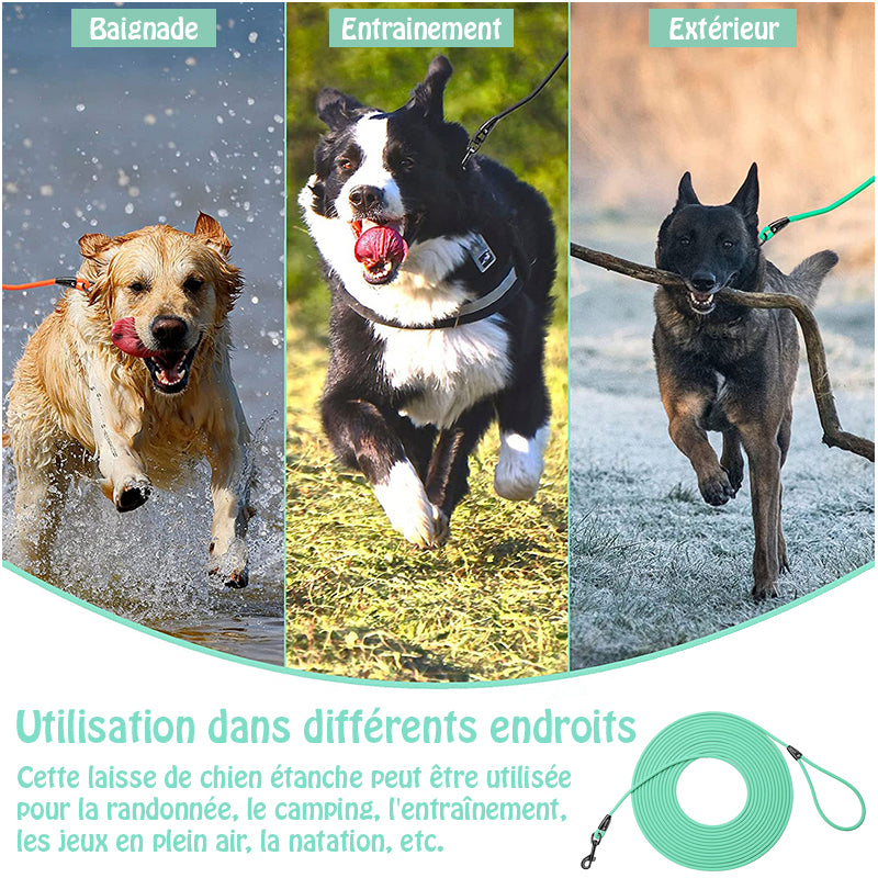 Longe pour chien EasyTrain™ - Turquoise utilisation multiple