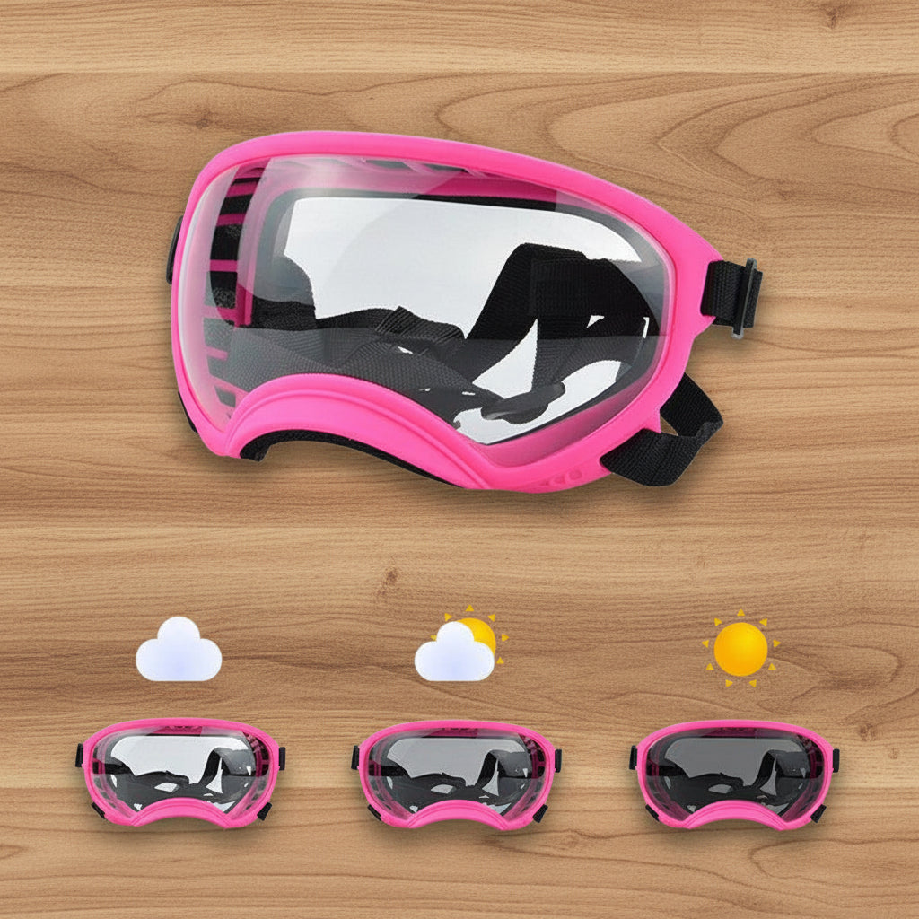 Lunette pour chien - AllTimeGoggle™ - Ma Promenade avec Toutou
