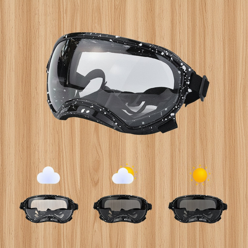 Lunette pour chien - AllTimeGoggle™ - Ma Promenade avec Toutou