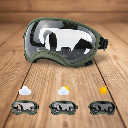 Lunette pour chien - AllTimeGoggle™ - Ma Promenade avec Toutou