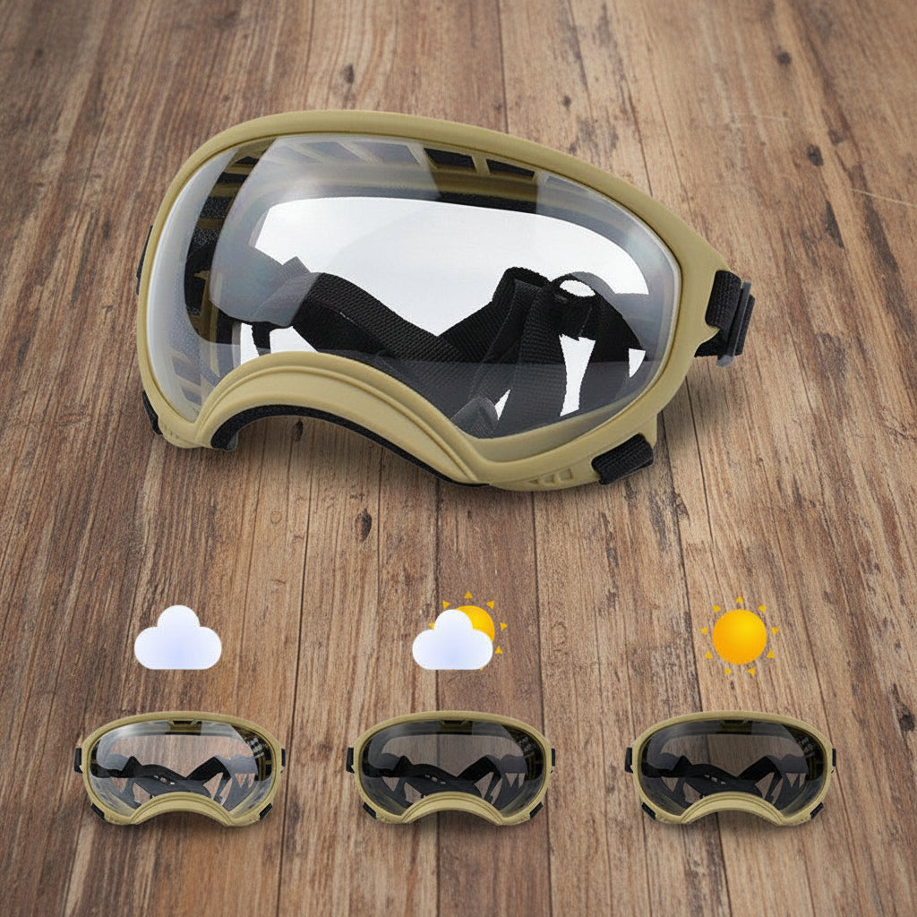 Lunette pour chien - AllTimeGoggle™ - Ma Promenade avec Toutou