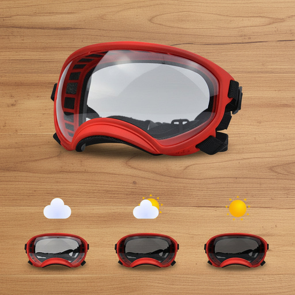 Lunette pour chien - AllTimeGoggle™ - Ma Promenade avec Toutou