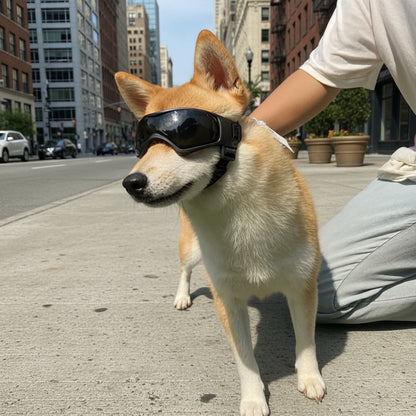 Lunette pour chien - BeautyGlassDog™ - Ma Promenade avec Toutou