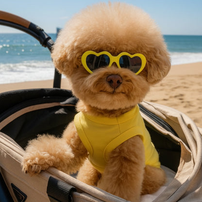 Lunette pour chien - LovelyDog™ - Ma Promenade avec Toutou