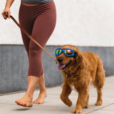 Lunette pour chien​ - SunSafeDoggy™