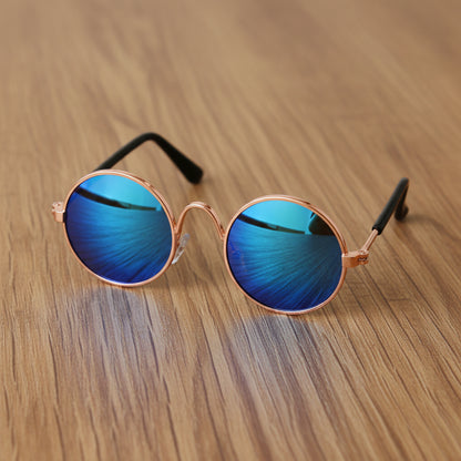 Lunettes pour chien - CoolDog™ - Ma Promenade avec Toutou