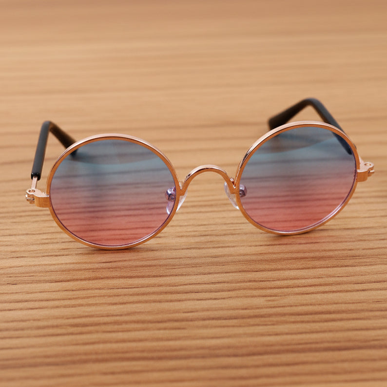 Lunettes pour chien - CoolDog™ - Ma Promenade avec Toutou