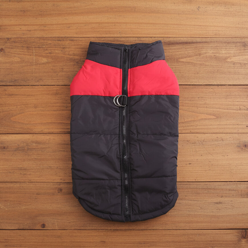 Manteau Chien - AllFitDog™