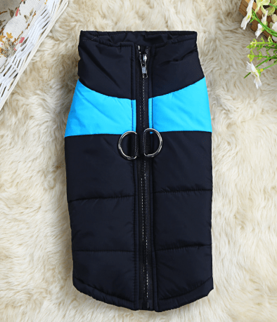 Manteau Chien - AllFitDog™ - Ma Promenade avec Toutou