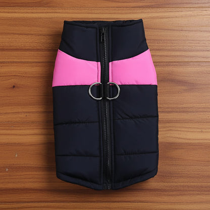 Manteau Chien - AllFitDog™