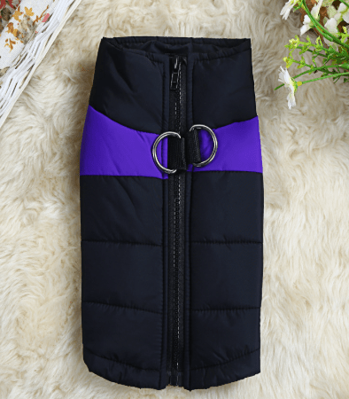 Manteau Chien - AllFitDog™ - Ma Promenade avec Toutou