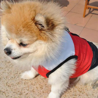 Manteau chien - BestSnowDog™