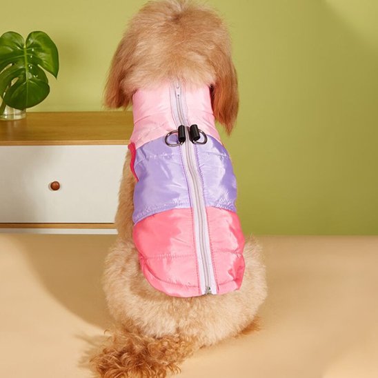 Manteau chien - BestSnowDog™