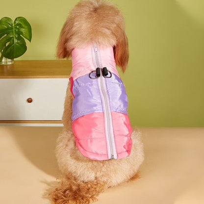 Manteau chien - BestSnowDog™