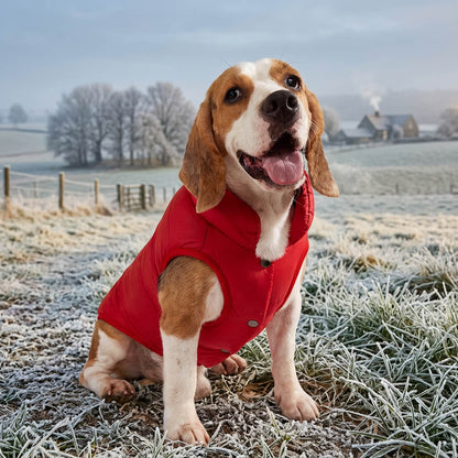 Manteau pour chien - HotPadJacket™