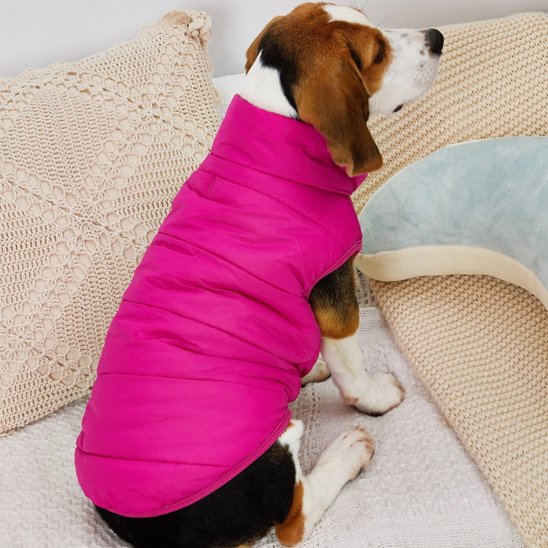Manteau pour chien - HotPadJacket™