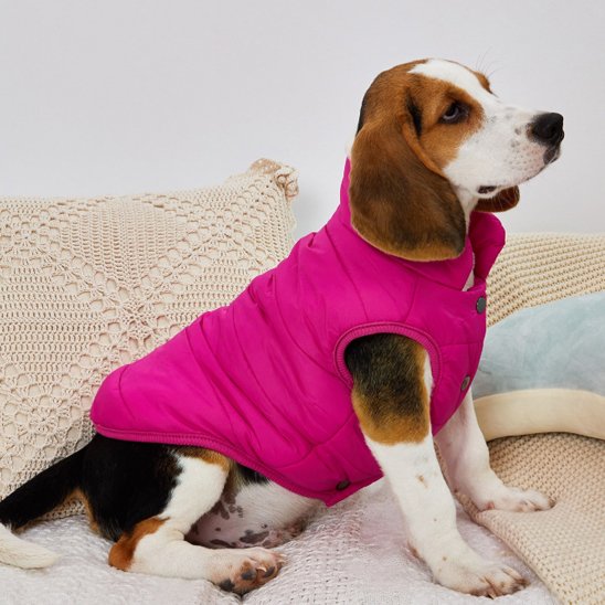 Manteau pour chien - HotPadJacket™