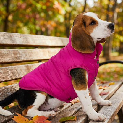 Manteau pour chien - HotPadJacket™