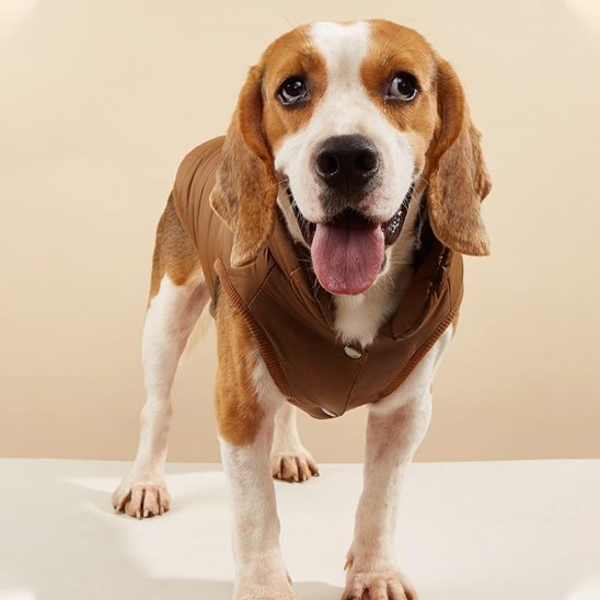 Manteau pour chien - HotPadJacket™