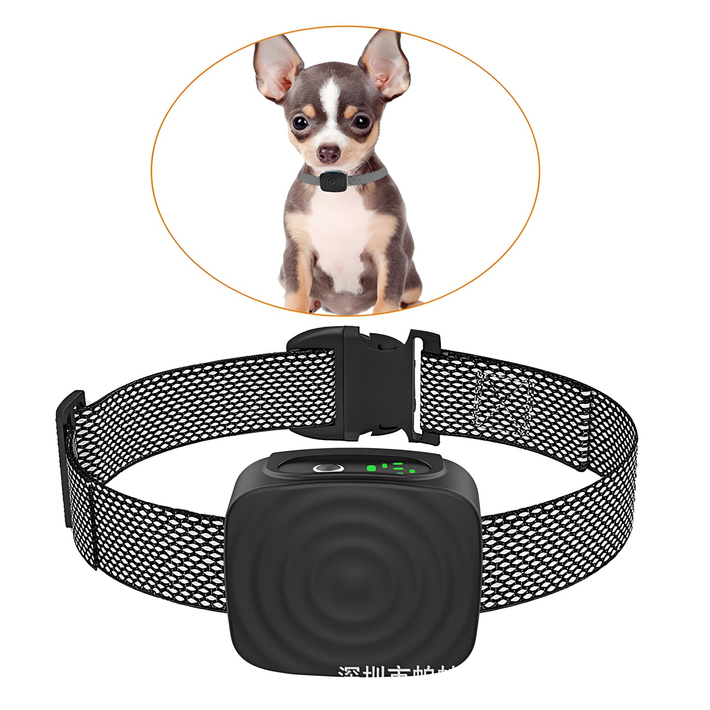 idéale pour petit chiens