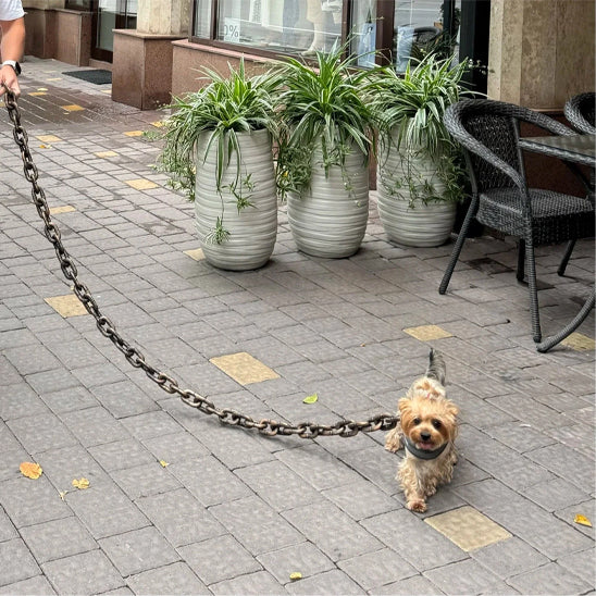 Laisse pour chien - Chaîne Simini™