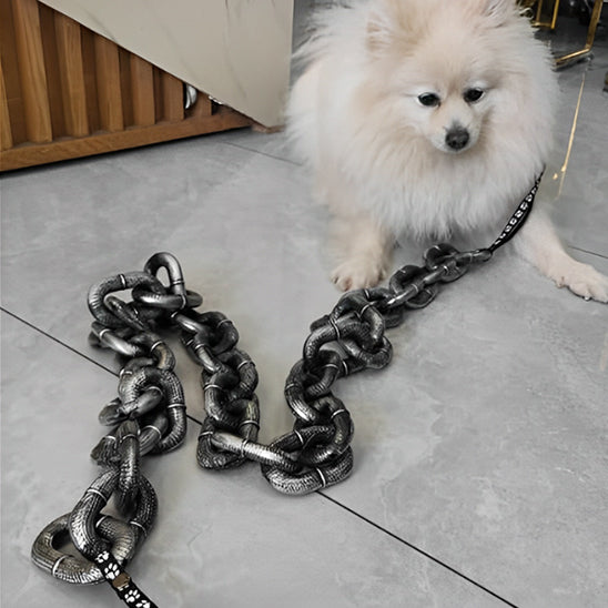 Laisse pour chien - Chaîne Simini™