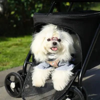 Poussette pour Chien - PetStroller™ - Noir - Ma Promenade avec Toutou