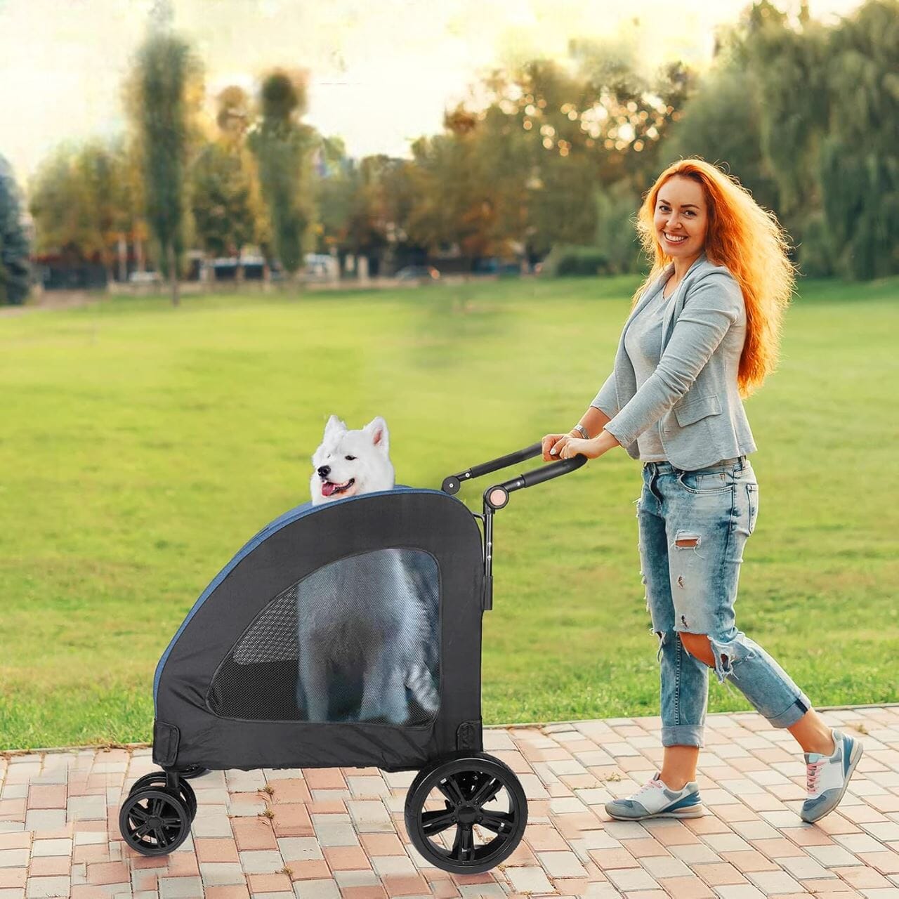 Poussette pour Chien - StrollyPet™ - Bleu - Ma Promenade avec Toutou