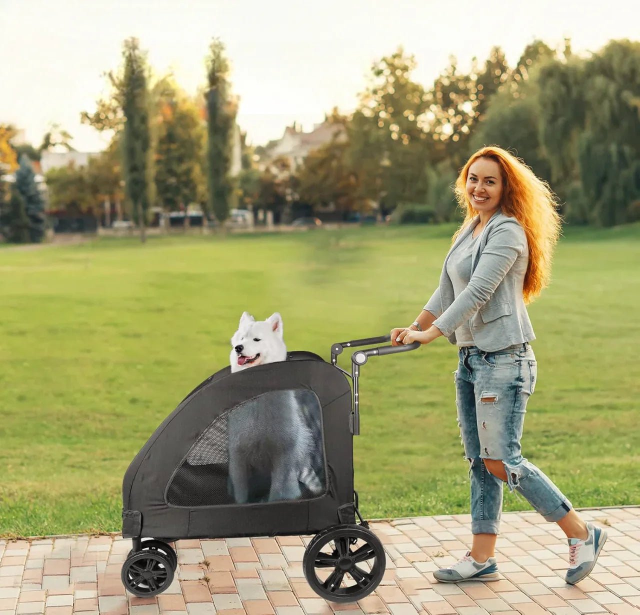 Poussette pour Chien - StrollyPet™ - Noir - Ma Promenade avec Toutou