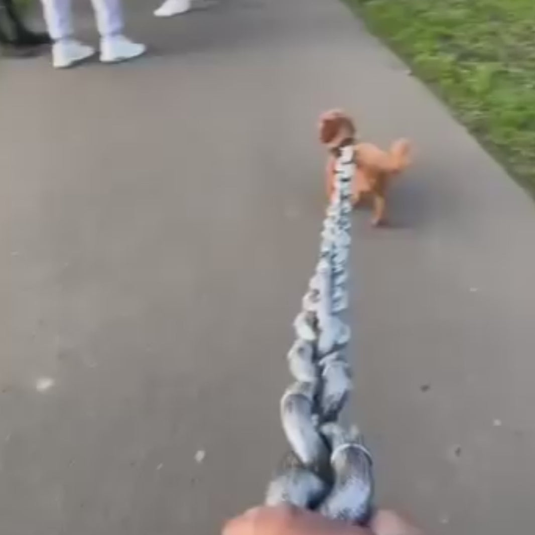 video de la chaîne