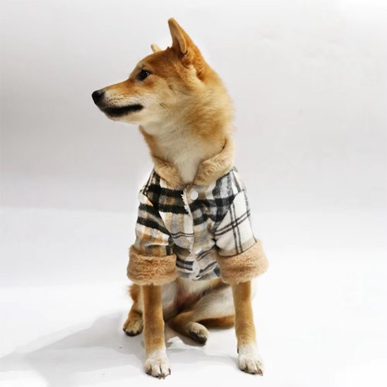 Manteau pour chien - ScottishStyleDog™